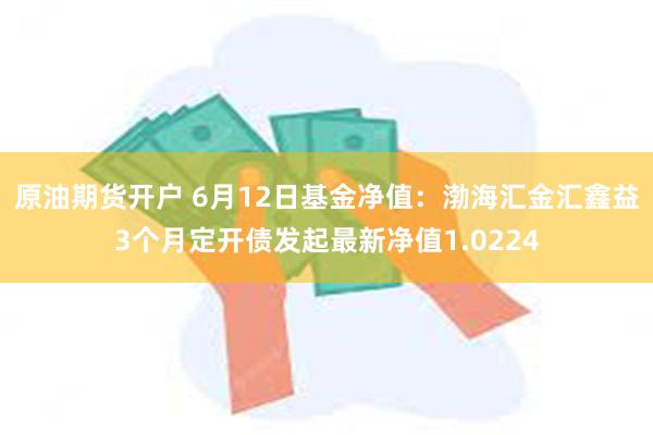 原油期货开户 6月12日基金净值：渤海汇金汇鑫益3个月定开债发起最新净值1.0224