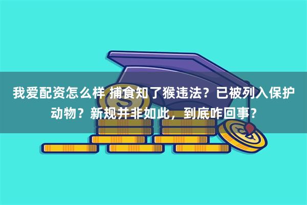 我爱配资怎么样 捕食知了猴违法？已被列入保护动物？新规并非如此，到底咋回事？