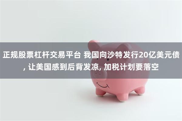 正规股票杠杆交易平台 我国向沙特发行20亿美元债, 让美国感到后背发凉, 加税计划要落空