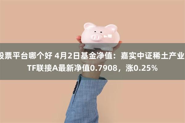 股票平台哪个好 4月2日基金净值：嘉实中证稀土产业ETF联接A最新净值0.7908，涨0.25%