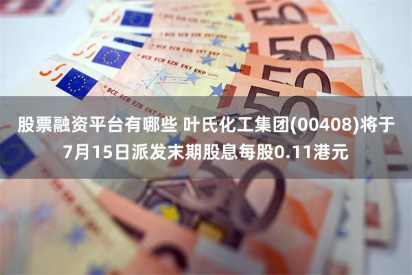 股票融资平台有哪些 叶氏化工集团(00408)将于7月15日派发末期股息每股0.11港元