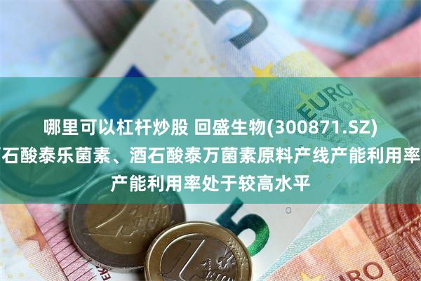 哪里可以杠杆炒股 回盛生物(300871.SZ)：目前公司酒石酸泰乐菌素、酒石酸泰万菌素原料产线产能利用率处于较高水平