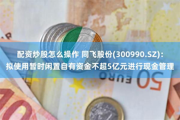 配资炒股怎么操作 同飞股份(300990.SZ)：拟使用暂时闲置自有资金不超5亿元进行现金管理