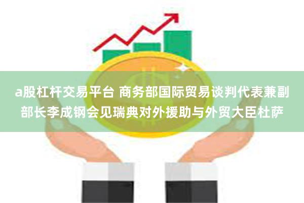 a股杠杆交易平台 商务部国际贸易谈判代表兼副部长李成钢会见瑞典对外援助与外贸大臣杜萨